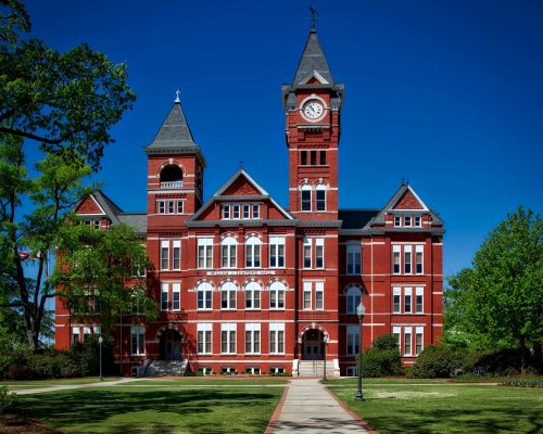 University University